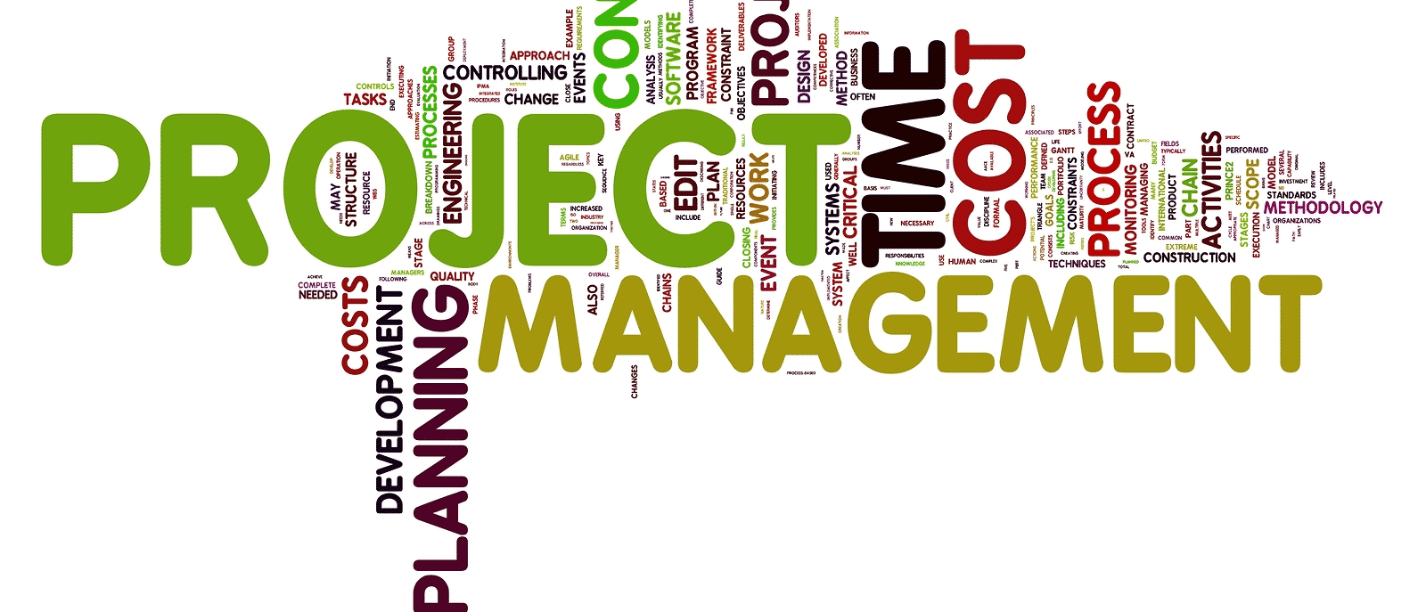 Professional Project Management